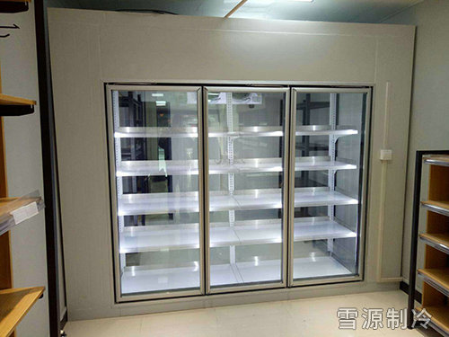 醫(yī)用后補式-冷庫